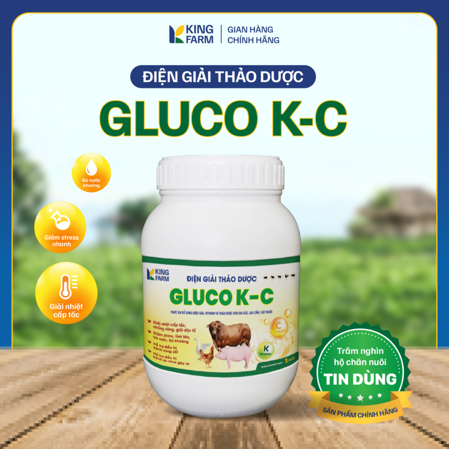 BIGKING ĐIỆN GIẢI THẢO DƯỢC