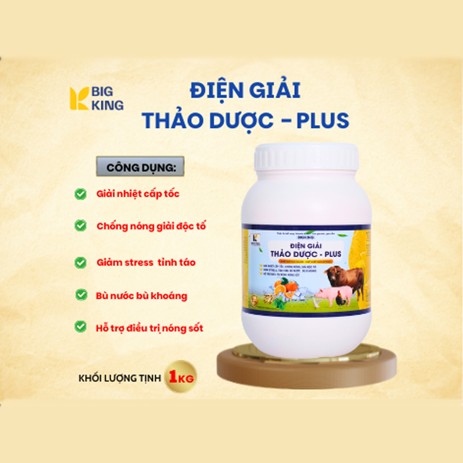 BIGKING ĐIỆN GIẢI THẢO DƯỢC
