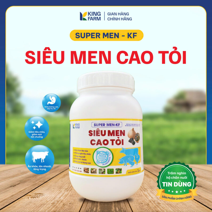 BIGKING SIÊU MEN CAO TỎI THẢO DƯỢC