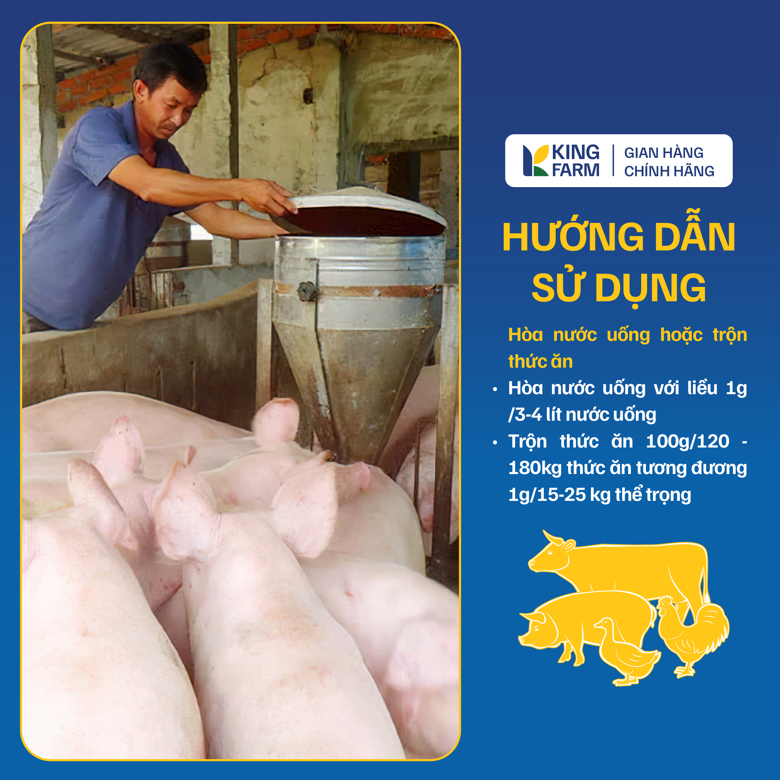 BIGKING MAX BETA GOLD - Ảnh 5