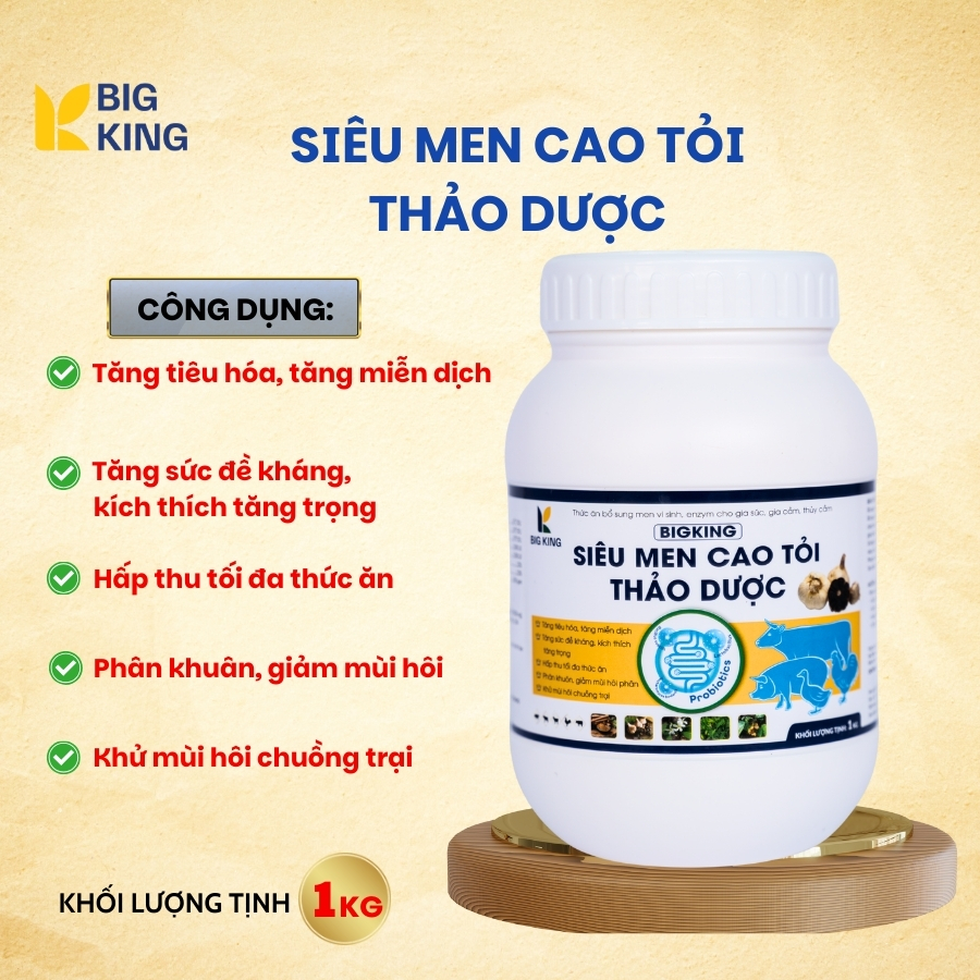 Siêu men cao tỏi thảo dược