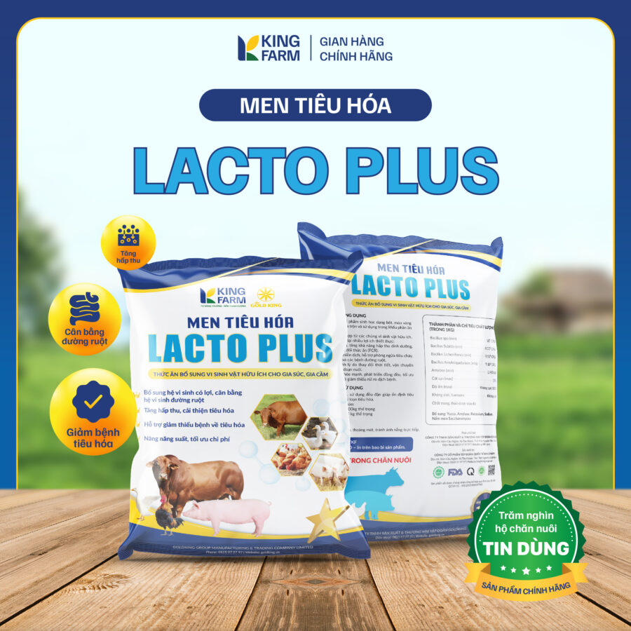 MEN TIÊU HÓA LACTO PLUS