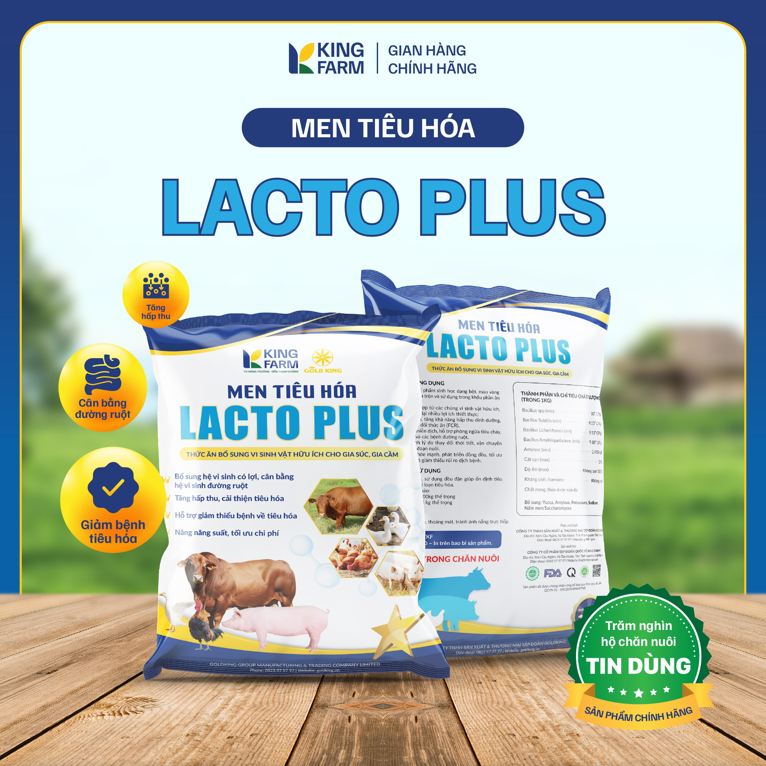 MEN TIÊU HÓA LACTO PLUS