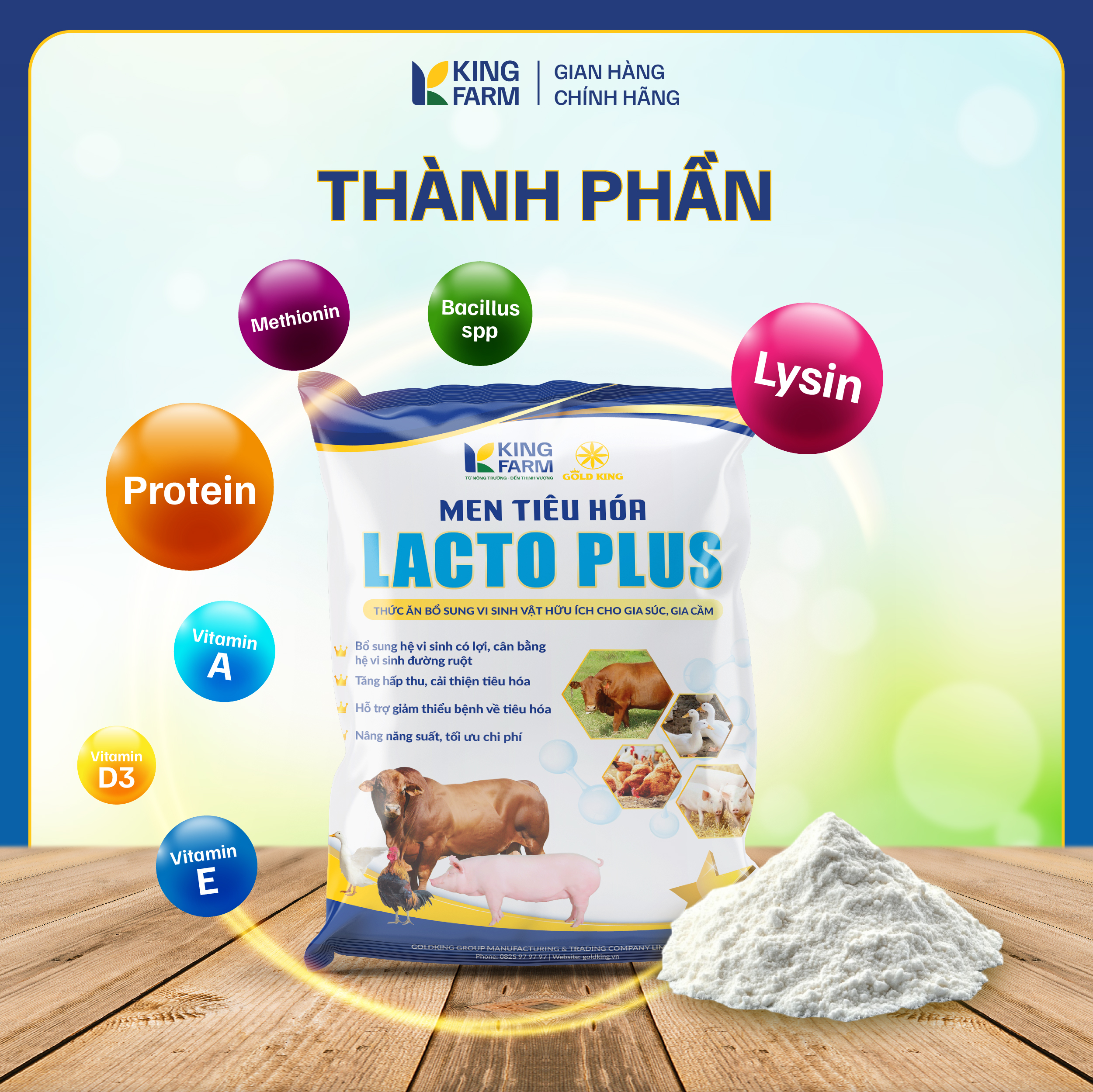 MEN TIÊU HÓA LACTO PLUS - Ảnh 4