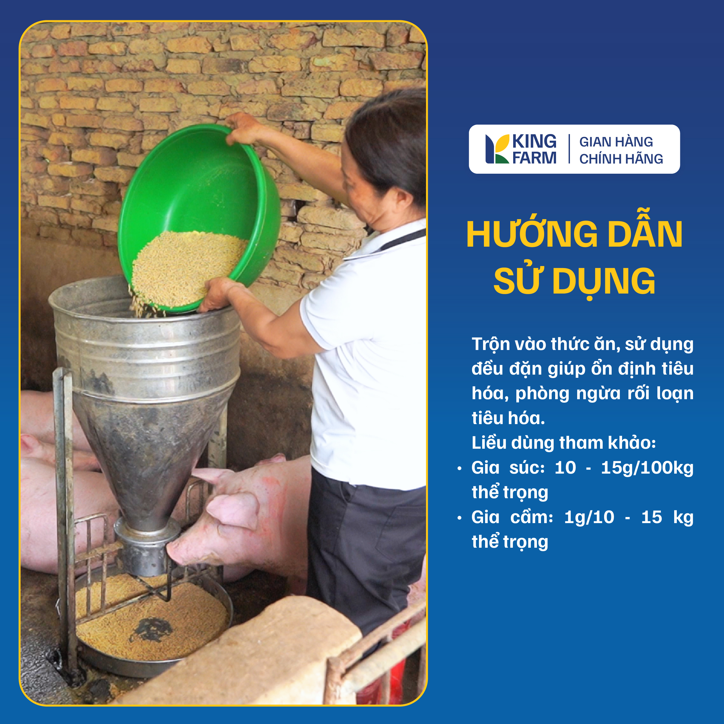 MEN TIÊU HÓA LACTO PLUS - Ảnh 5