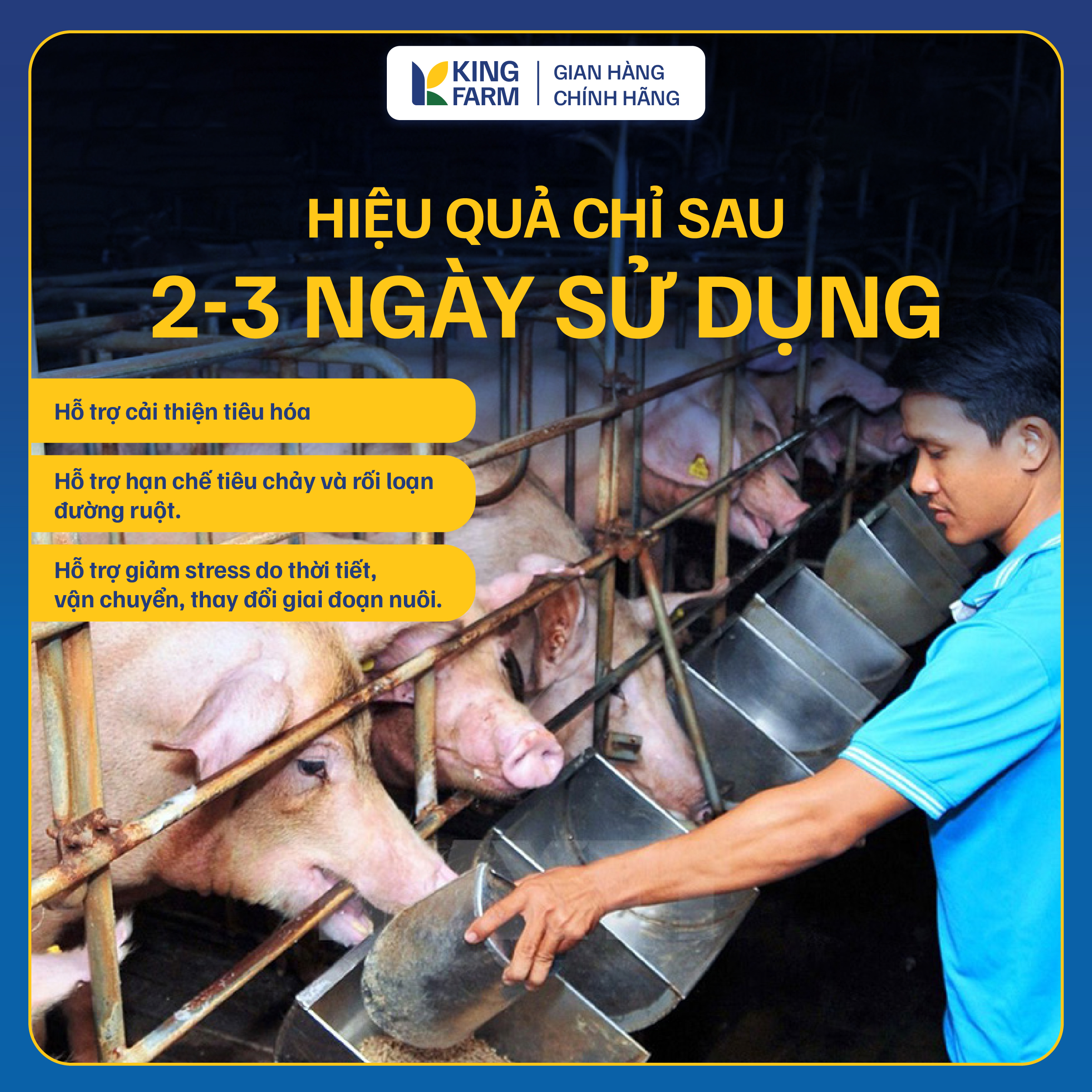 MEN TIÊU HÓA LACTO PLUS - Ảnh 6